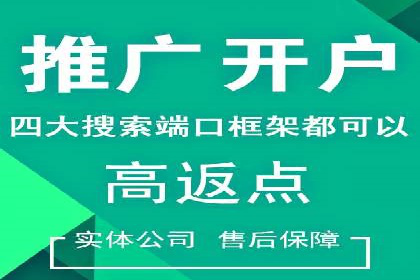 SEM实战案例：案例分析广告投放